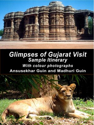 cover image of Glimpses of Gujarat Visit